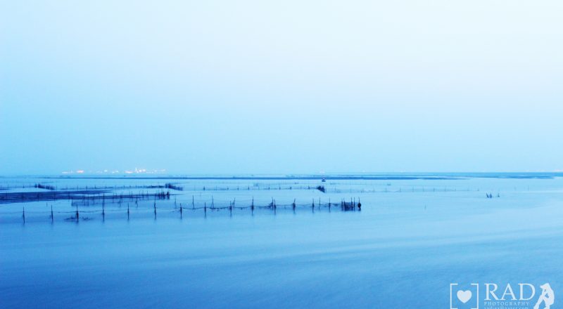 Mud flat of west coast 03