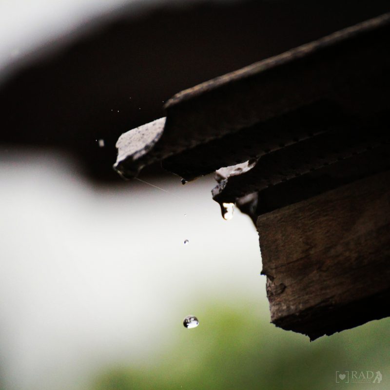 Raindrop