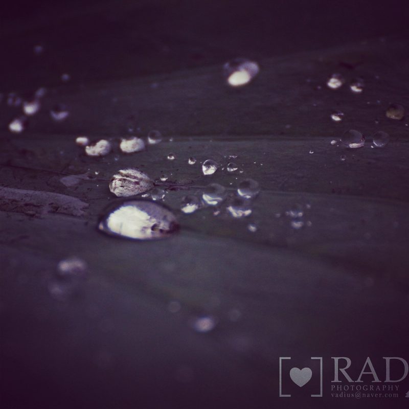 Drops of Life
