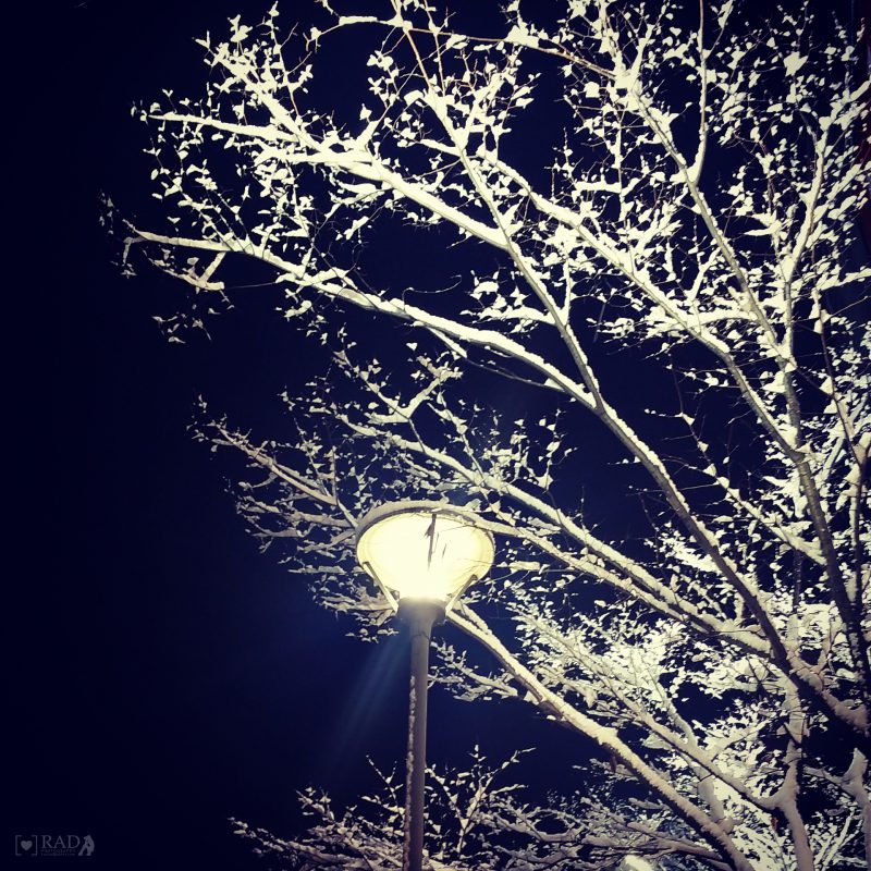 Under Streetlight Winter