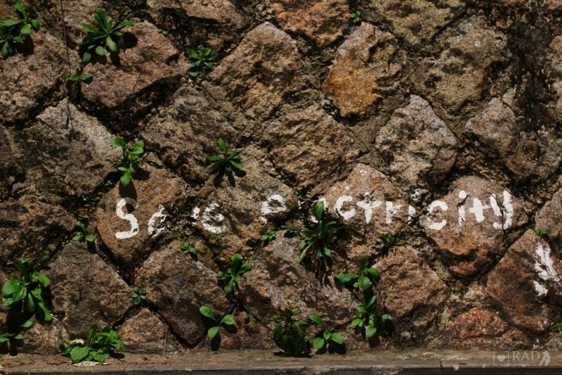 The streets of Hongdae