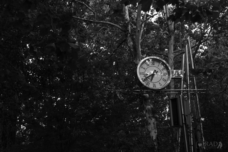 Hongik Univ. Street 05